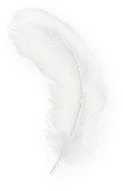 White fusion feather Unplug Infinity